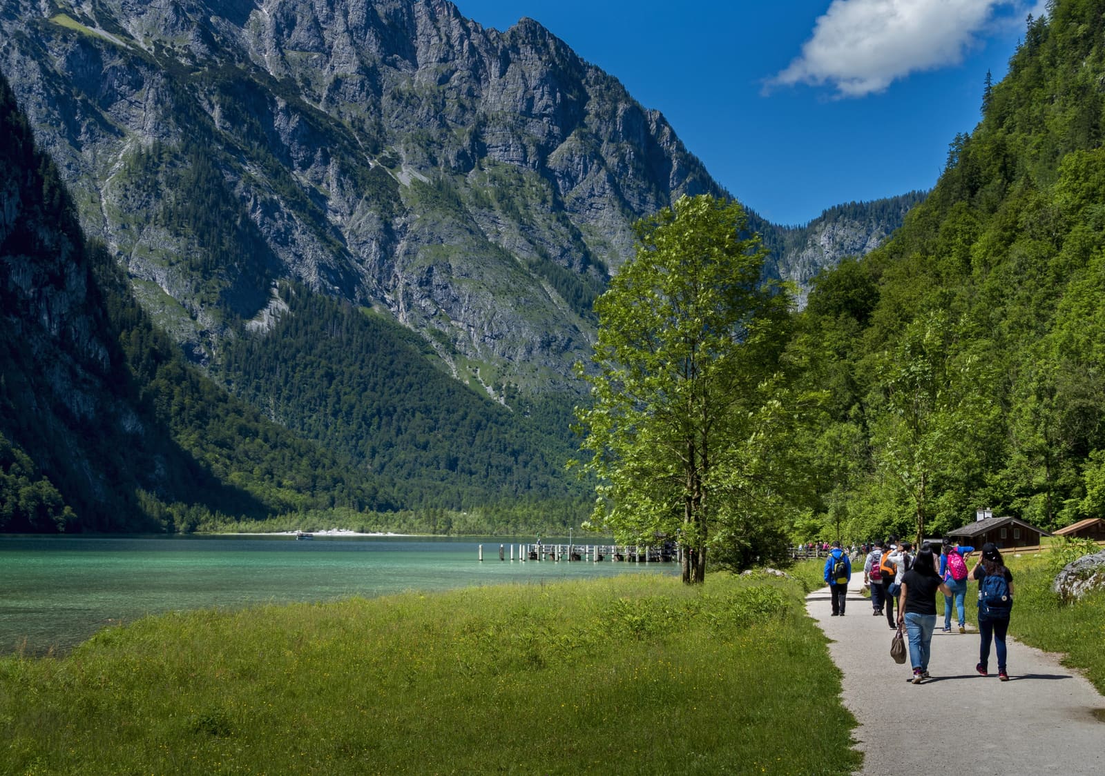 Wandergruppe auf einem Uferweg am Königssee unter steilen bewaldeten Felswänden der Berchtesgadener Alpen