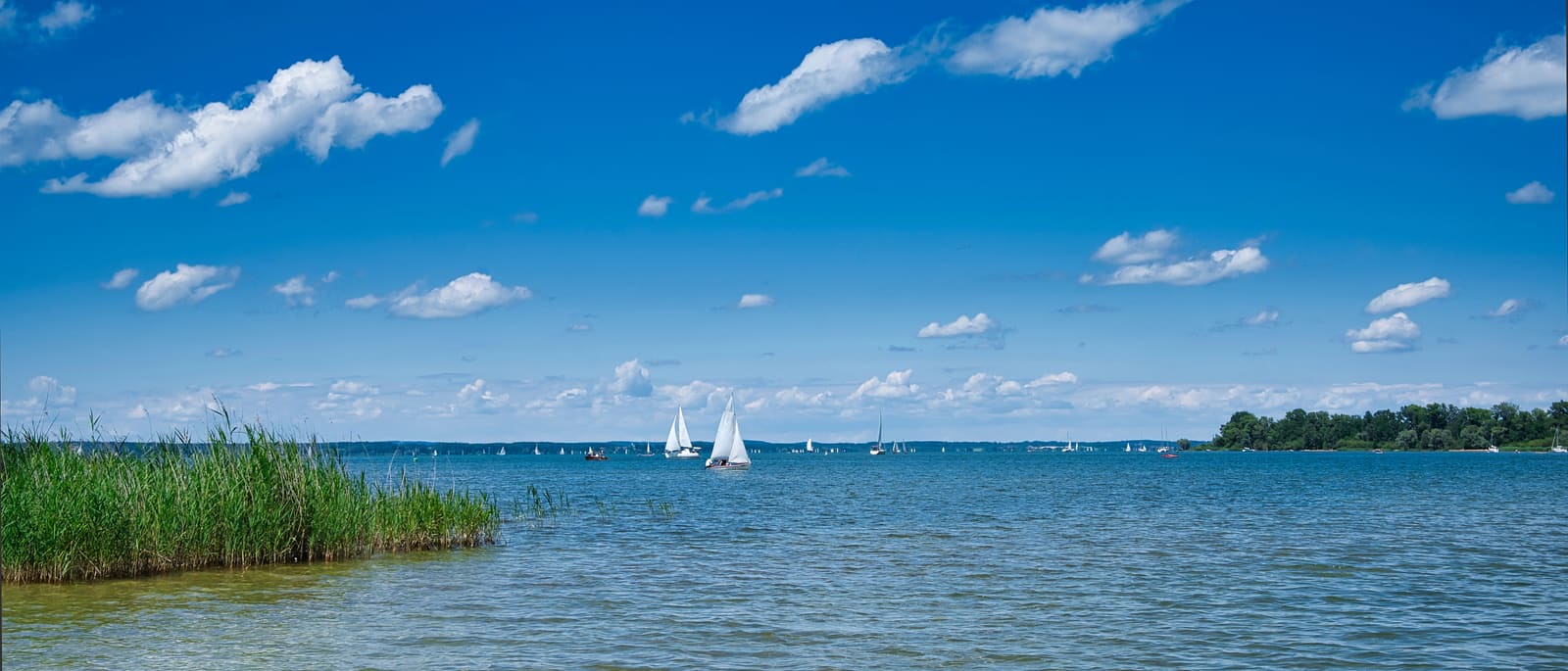 Breites Chiemsee-Panorama mit Schilfufer, zahlreichen weißen Segelbooten, Inselufer und sommerlichem Wolkenhimmel