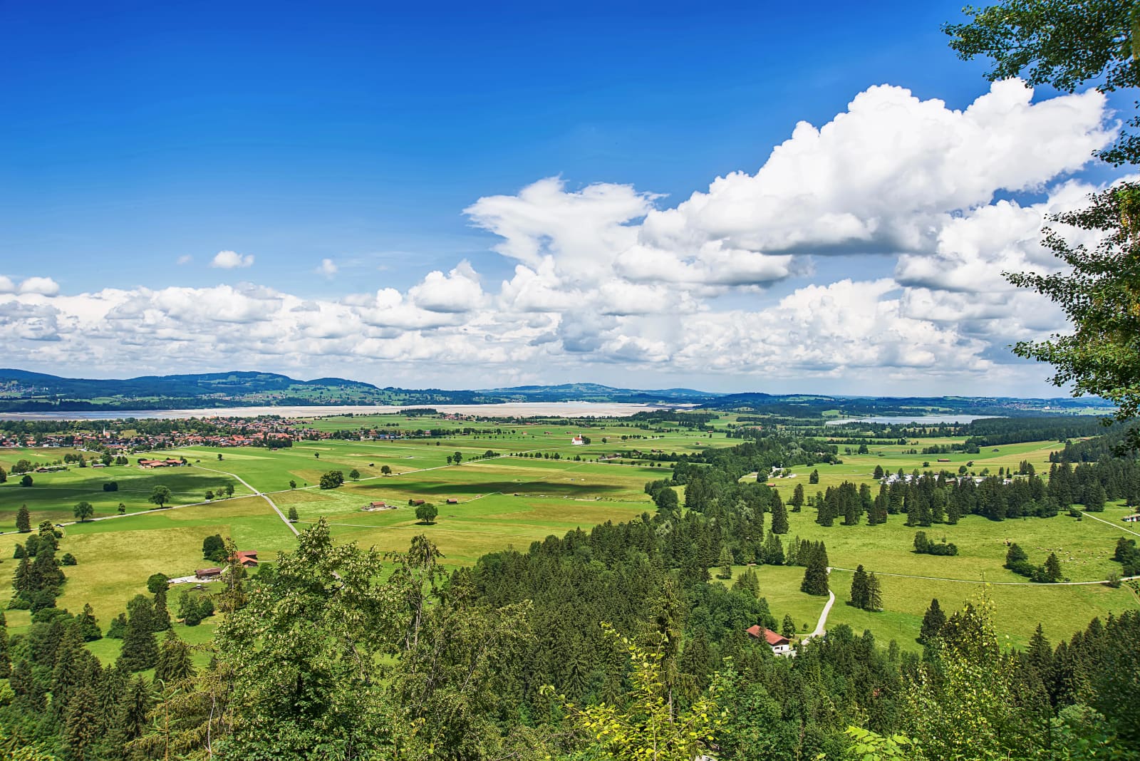 Forggensee bei Füssen mit den Allgäuer Alpen am Horizont