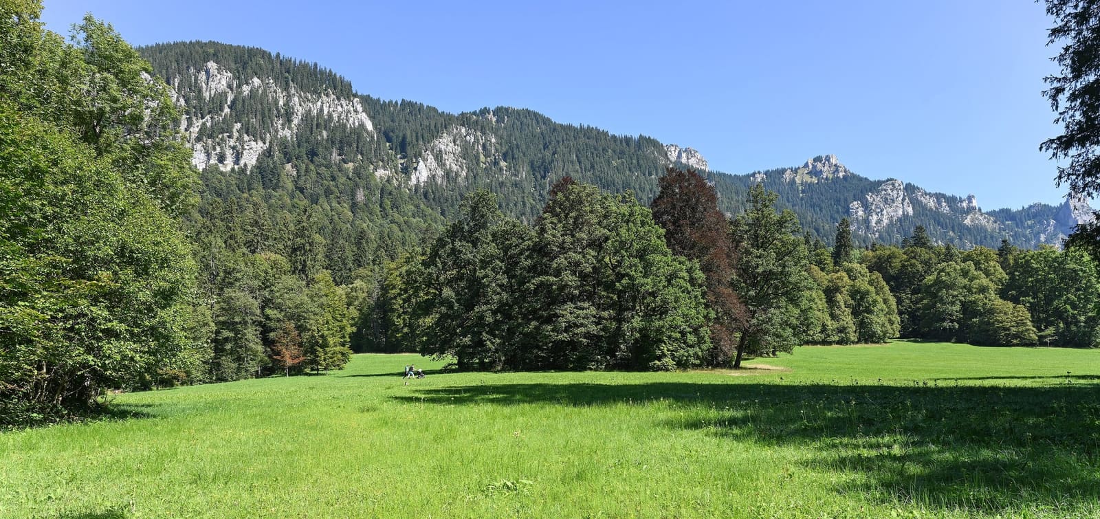 Der Landschaftspark von Schloss Linderhof mit Wiesen, alten Bäumen und bewaldeten Berghängen