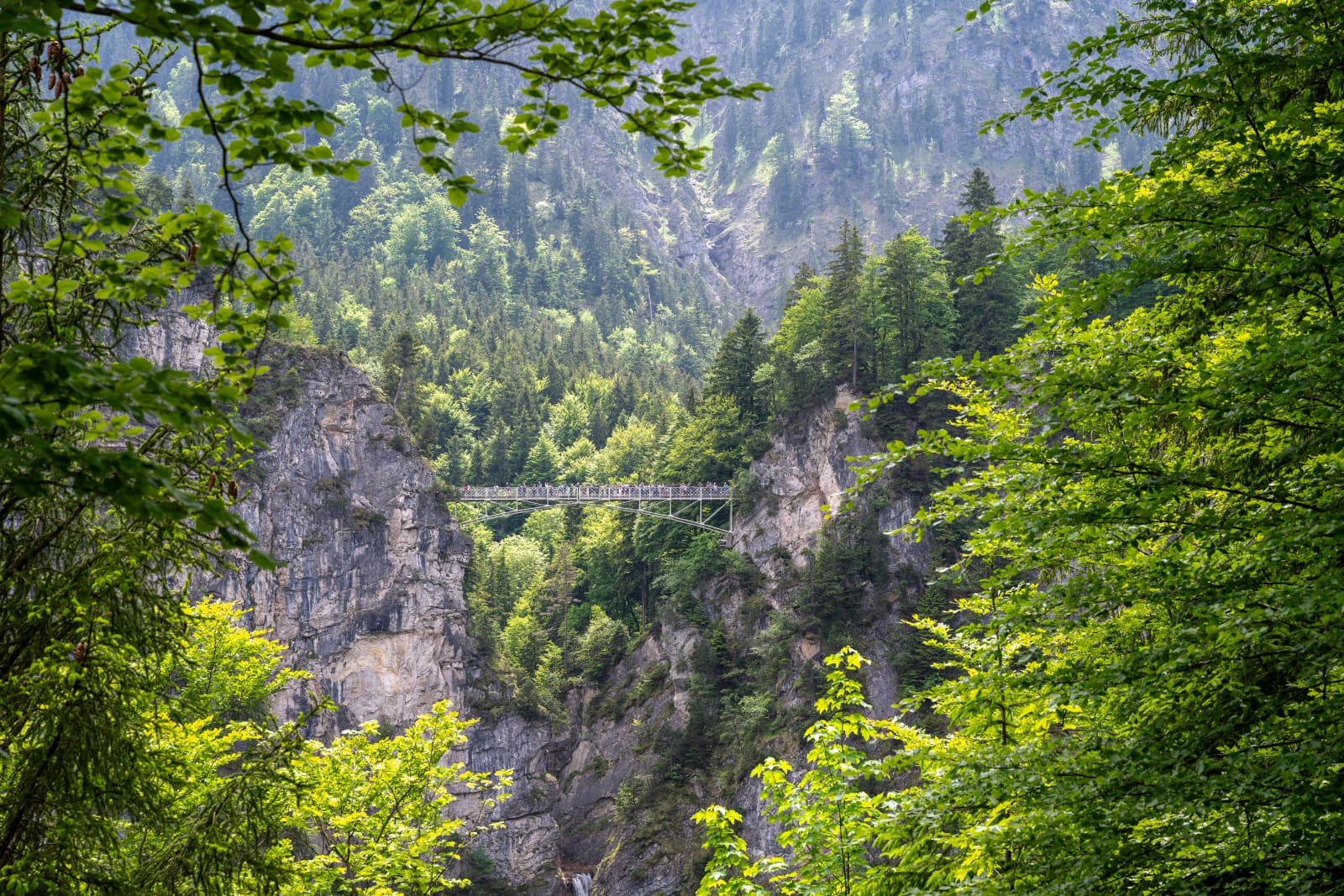 Die Marienbrücke über der Pöllatschlucht mit Blick auf Neuschwanstein