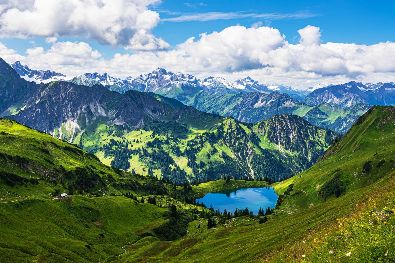 Der blaue Seealpsee zwischen grünen Almwiesen vor den Allgäuer Hochalpen.