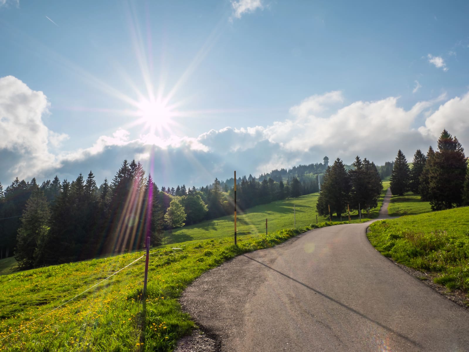 Sonnige Frühlingslandschaft am Feldberg mit grünen Bergwiesen, dunklen Fichten und einer ansteigenden Route