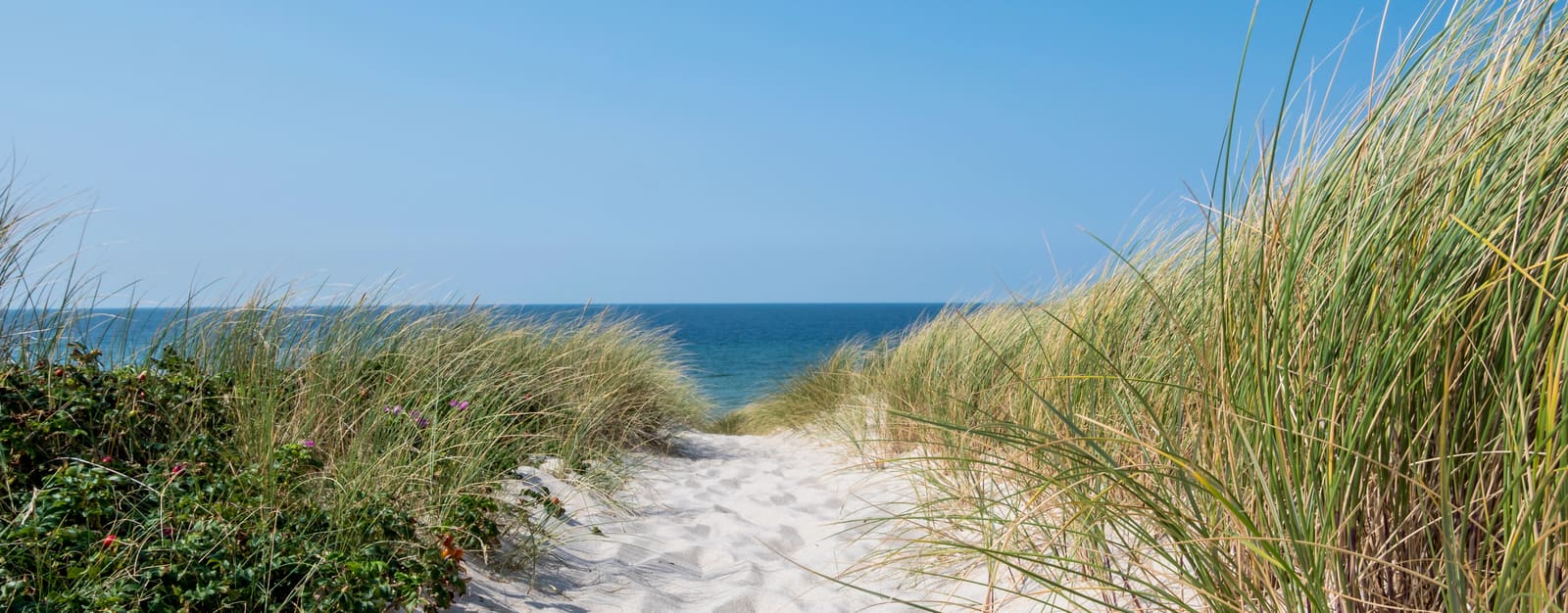 Breiter Sandweg durch hohe, mit Strandhafer bewachsene Dünen auf Sylt mit freiem Blick auf die blaue Nordsee